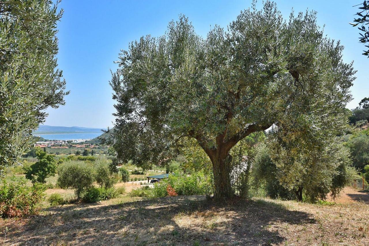 Il Molino Villa Porto Ercole  Exteriör bild